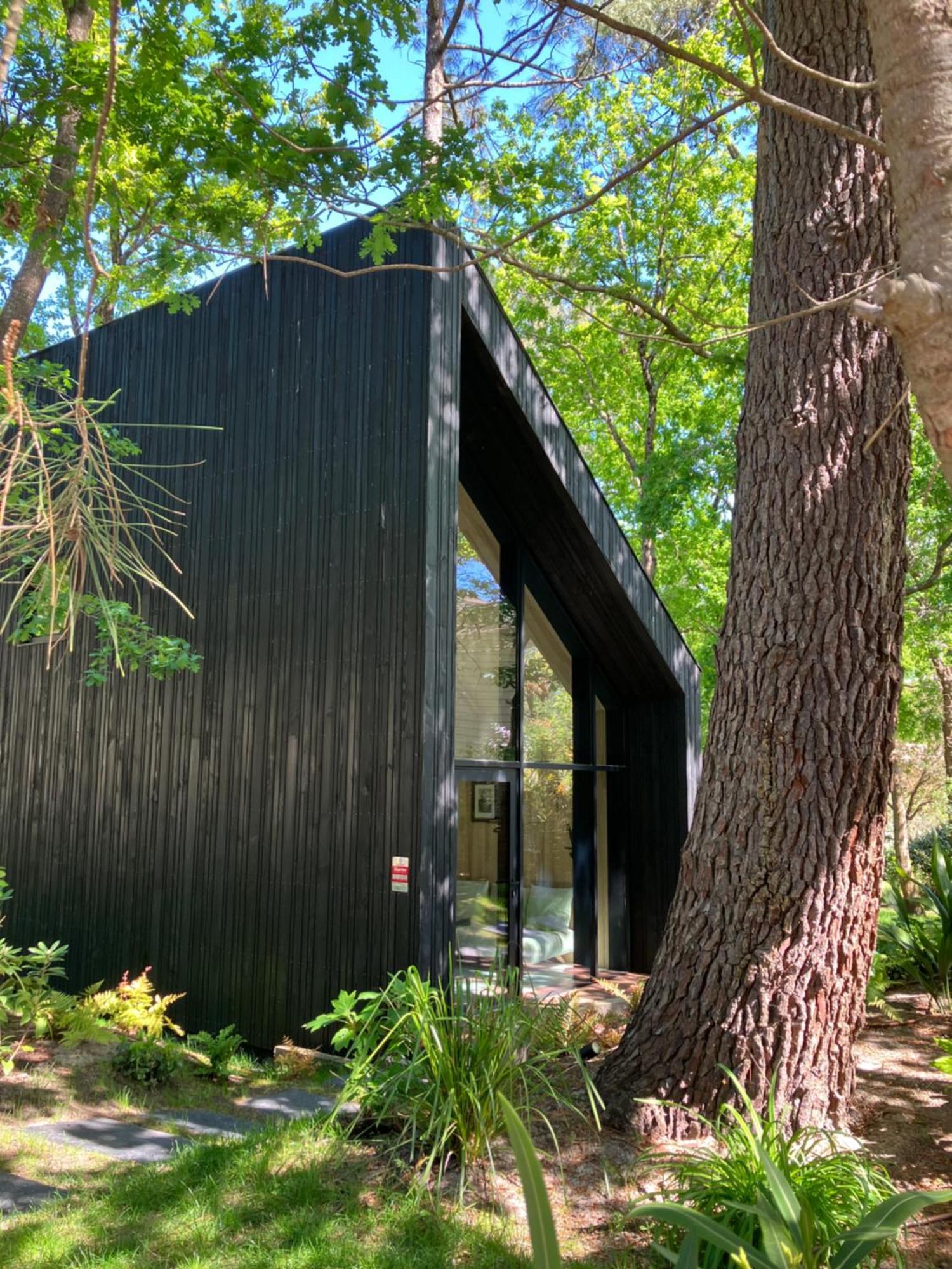 Nouveau - Ecolodge 'Calme Et Nature' - Avec Piscine Au Golf-Lac De Biscarrosse - Couchage 2 Personnes Eksteriør bilde